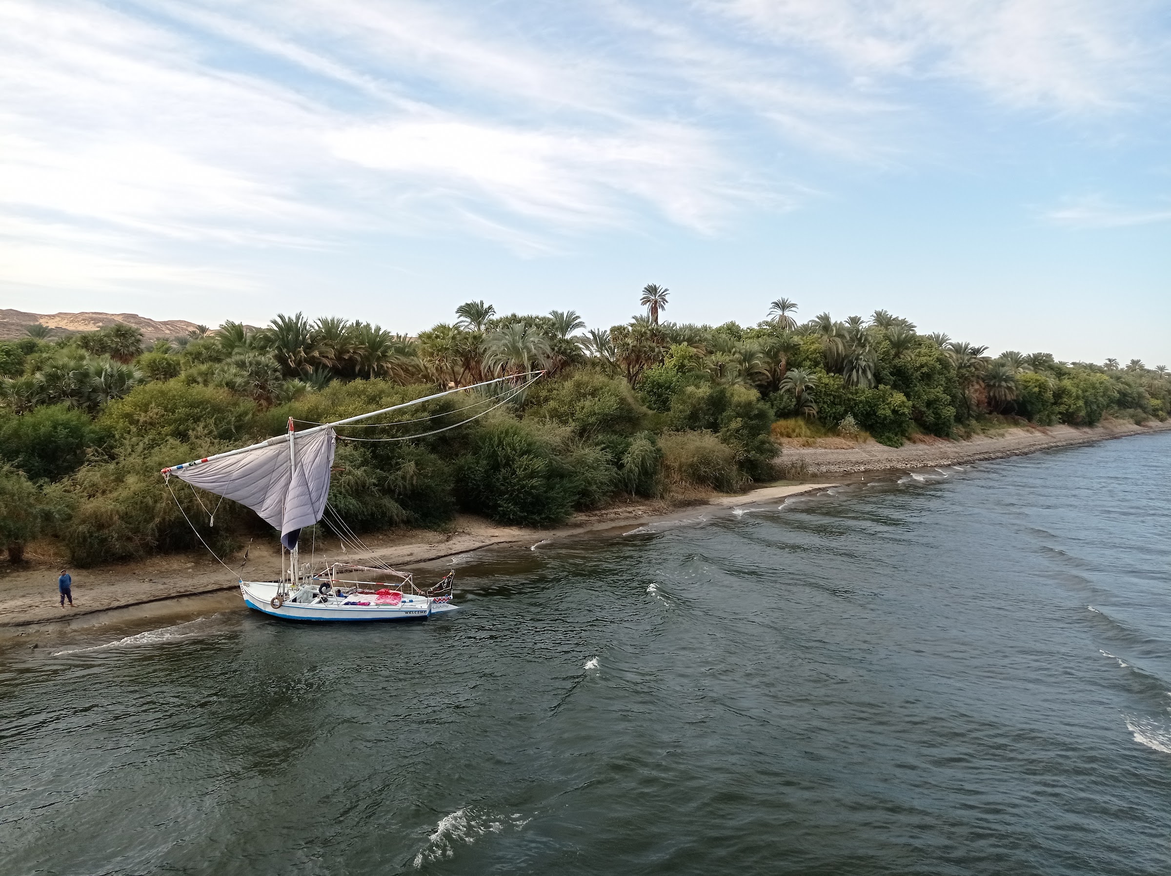 Faluca varada junto a un palmeral en la orilla del Nilo